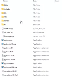 Contents of the Python folder showing collector.py, Pmanager.py, and pythonw.exe